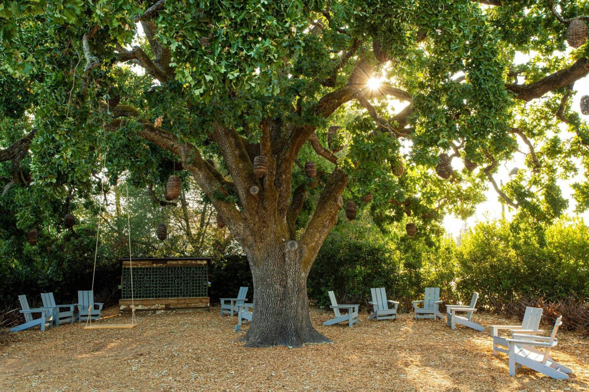 The Lodge At Sonoma Resort, Autograph Collection Εξωτερικό φωτογραφία